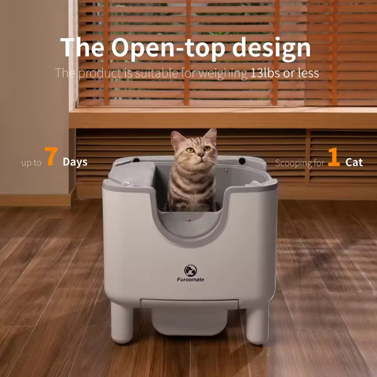 Self Cleaning Cat Litter Box