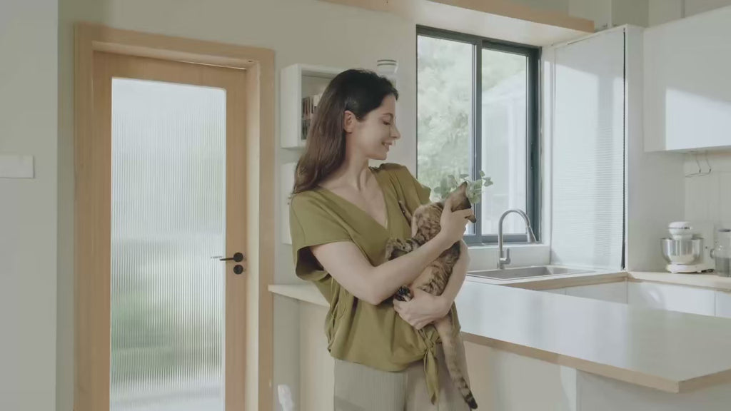 Self Cleaning Cat Litter Box